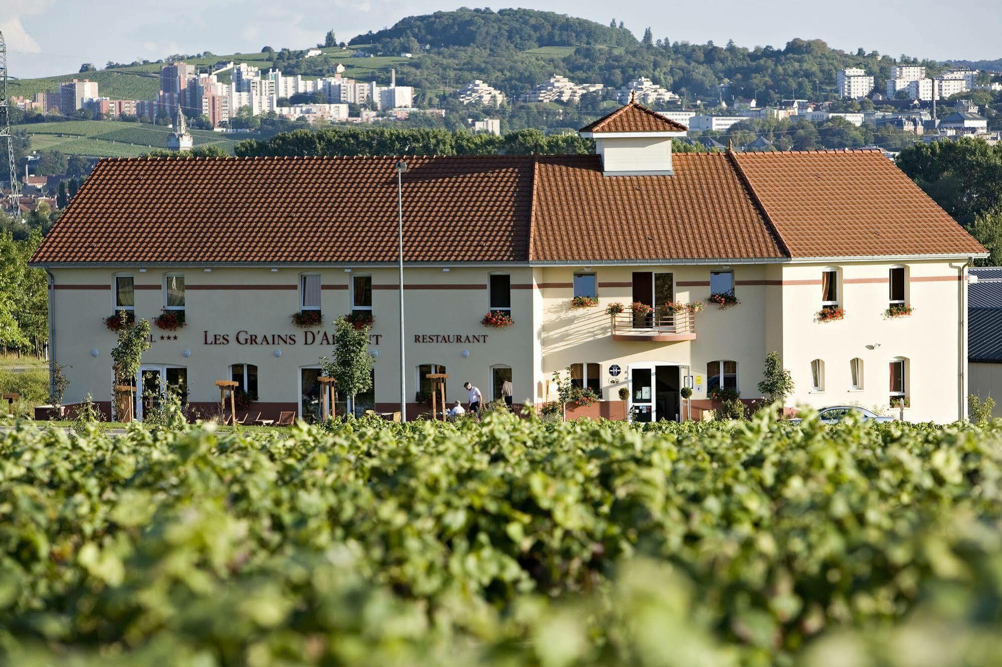 Hotel Restaurant Les Grains D'Argent Dizy - Epernay ภายนอก รูปภาพ